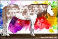 Horse Color:Chestnut Ice Sabino Splash 