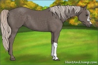 Horse Color:Silver Black 