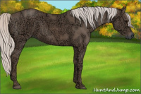 Horse Color:Silver Black Ice 