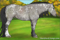 Horse Color:Black Ice 