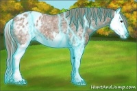 Horse Color:Thunderstruck White Spotted Chestnut Splash Blanket 