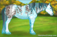 Horse Color:Thunderstruck White Spotted Bay Splash Rabicano