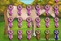 Horse Color:Chestnut Pearl