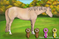 Horse Color:Gold Champagne 
