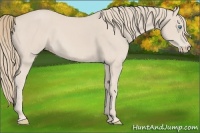 Horse Color:Smoky Creme 