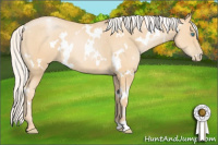 Horse Color:White Spotted Silver Buckskin Pearl 