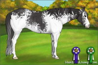 Horse Color:White Spotted Smoky Black Rabicano