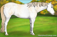 Horse Color:White Spotted Smoky Black Pearl 