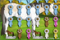 Horse Color:White Spotted Buckskin Dun 