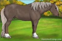 Horse Color:Silver Black 