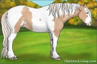 Horse Color:Silver Classic Champagne Sabino Splash Tobiano 