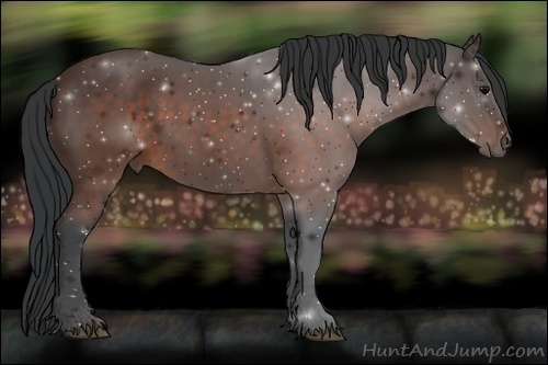 Horse Color: Brown 