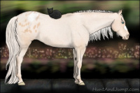 Horse Color:Chocolate Palomino Pearl Blanket Rabicano 