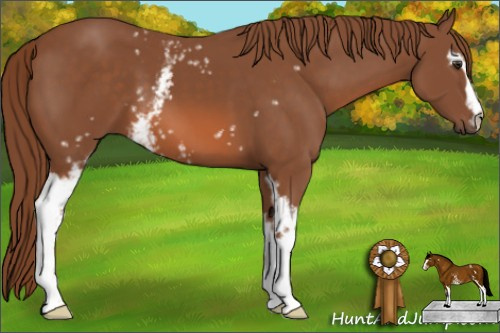 Horse Color: White Spotted Liver Chestnut 