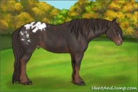 Horse Color:Liver Chestnut Sabino Blanket  Brindle