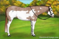 Horse Color:Red Roan Splash Frame