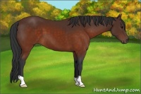 Horse Color:Brown 