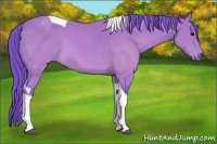 Horse Color:Watercolor Buckskin Tobiano 