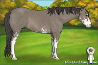 Horse Color:Black Sabino 