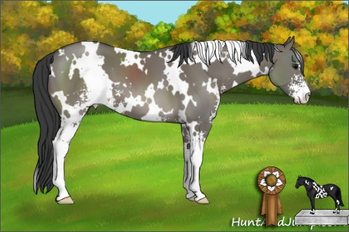 Horse Color: White Spotted Grullo Sabino 