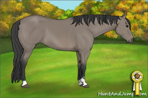 Horse Color: Grullo Sabino 