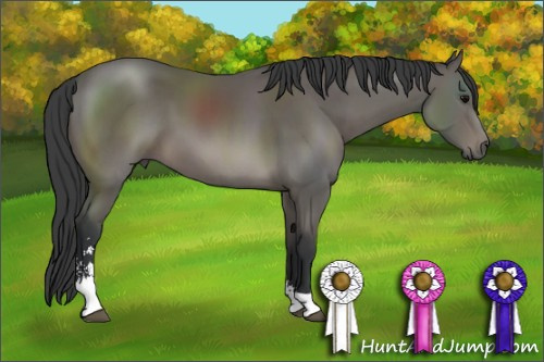 Horse Color: Black Sabino 