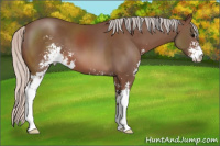 Horse Color:Silver Black Sabino 