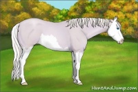 Horse Color:Watercolor Palomino Roan Pearl Splash 