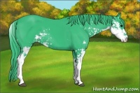 Horse Color:Watercolor Black Sabino 
