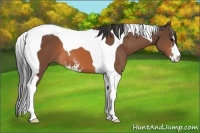 Horse Color:Bay Sabino Tobiano 