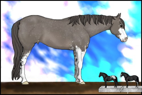 Horse Color: Grullo Sabino Varnish 