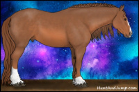 Horse Color:Liver Chestnut Sabino