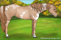 Horse Color:White Spotted Liver Chestnut Pearl 