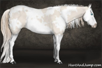 Horse Color:White Spotted Smoky Creme Dun Splash 