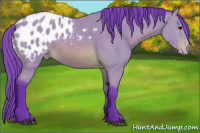 Horse Color:Watercolor Bay Appaloosa 