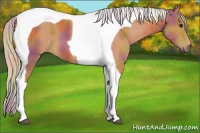 Horse Color:Nacre Silver Bay Tobiano 