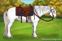 Horse Color:White Spotted Silver Bay Frame 