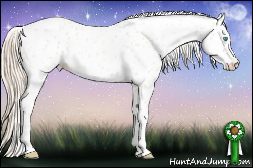 Horse Color: Smoky Creme Dun Leopard 