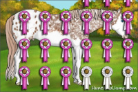 Horse Color:Chestnut Sabino Splash Appaloosa