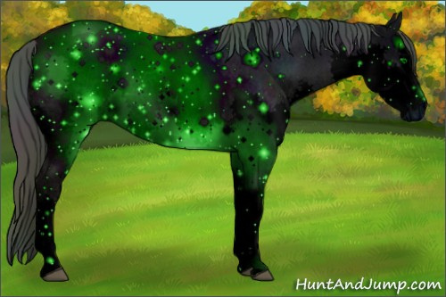 Horse Color: ERROR: UNKNOWN ANOMALY