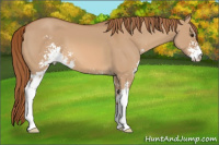 Horse Color:Red Dun Sabino 
