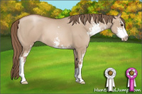 Horse Color:Grullo Pearl Sabino 