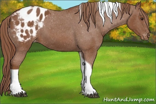 Horse Color:Chestnut Tobiano Varnish 