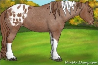 Horse Color:Chestnut Tobiano Varnish