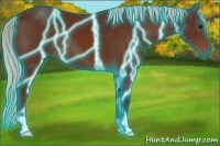 Horse Color:Thunderstruck Silver Bay 