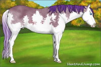 Horse Color:Watercolor Bay Splash 