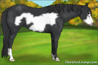 Horse Color:Black Frame 