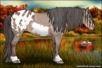 Horse Color:Liver Red Dun Frame Blanket 