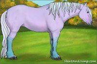 Horse Color:Watercolor Silver Buckskin Dun 