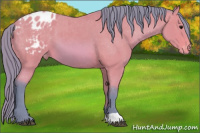 Horse Color:Watercolor Bay Appaloosa 